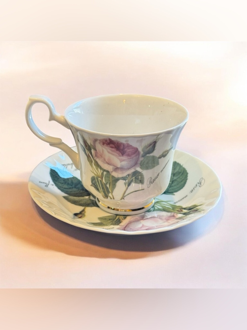 Redoute Roses Roy Kirkham Tea Cup & Saucer Set